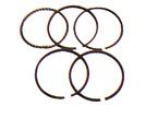Gx25/Gx35 Brushcutter Spare Part- Piston Ring